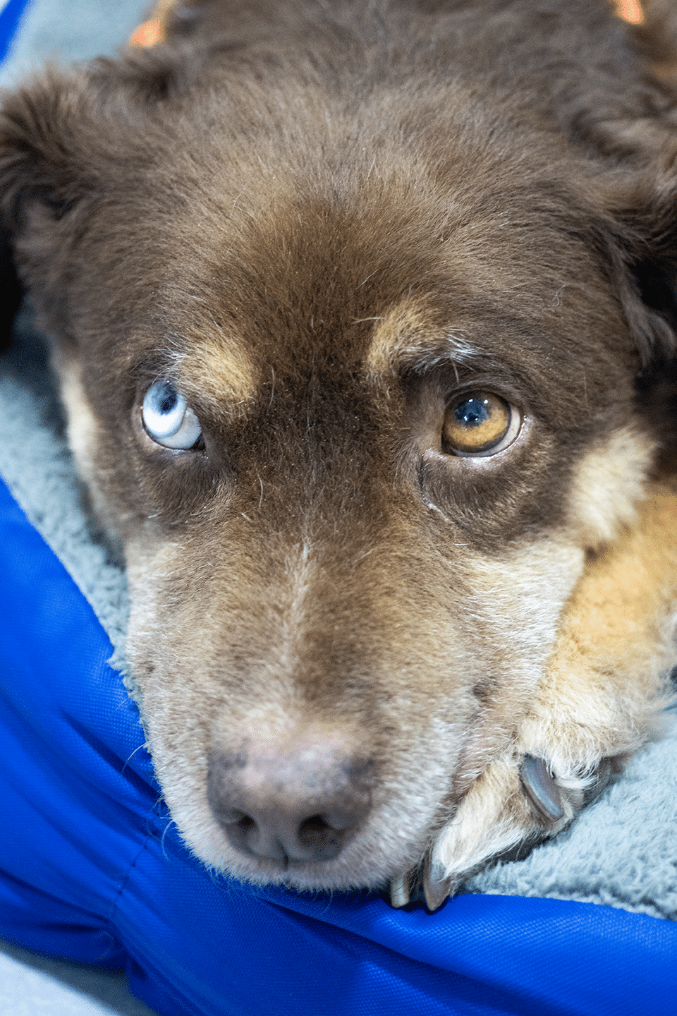 Foto de Rick Antonio